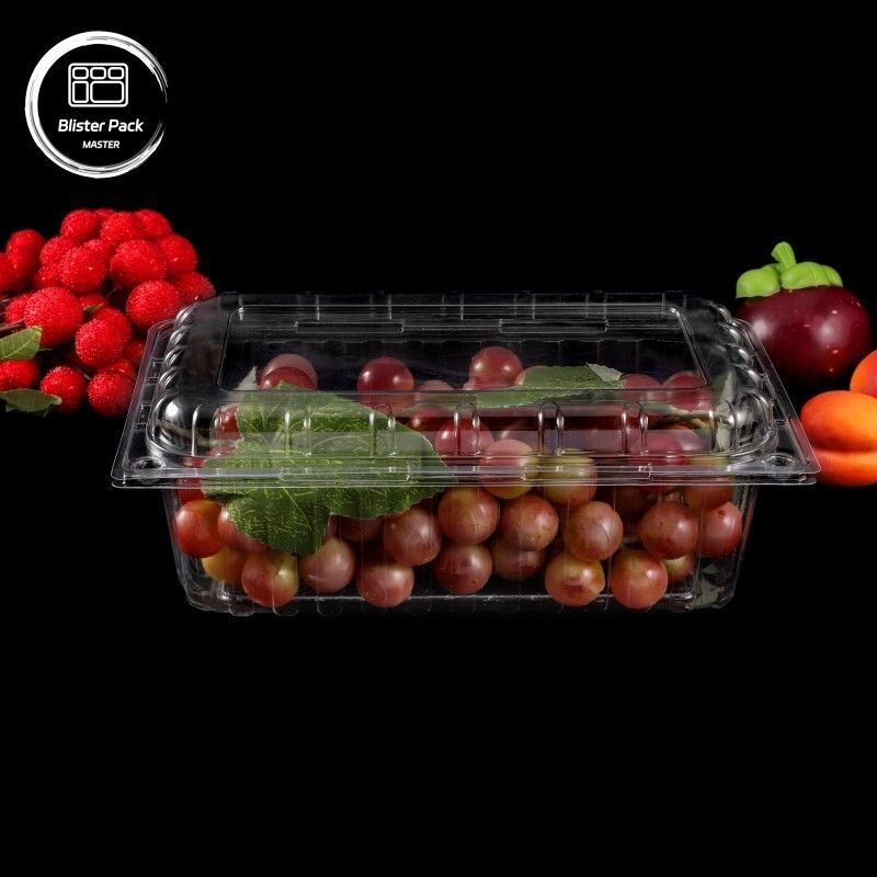 Şeffaf PET Kabuklu Meyve Konteynerleri Litchi ve Üzüm ambalajları için kapağı olan tek kullanımlık plastik kutular
