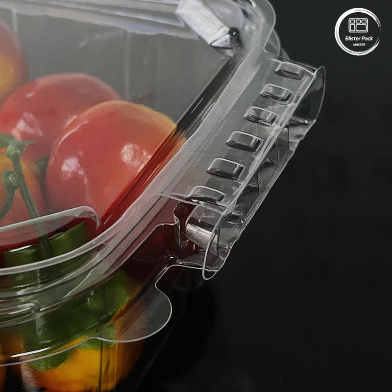 Çevre dostu 16 & 24 Oz taze ürünler için tek kullanımlık kapaklı salata kapları