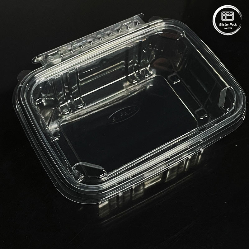 Çevre dostu 16 & 24 Oz taze ürünler için tek kullanımlık kapaklı salata kapları