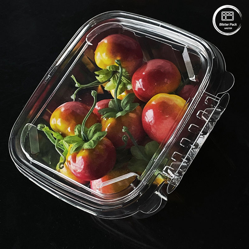 Çevre dostu 16 & 24 Oz taze ürünler için tek kullanımlık kapaklı salata kapları