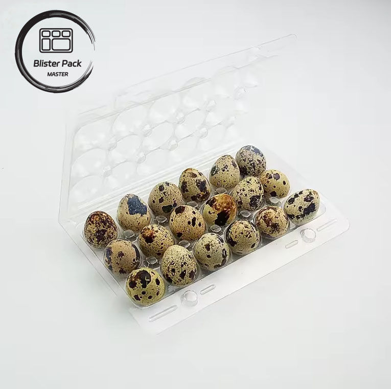 Yumurta Paketleme için Özel Yumurta Karton Tepsileri Çoklu Boyutlar (4, 6, 12, 15, 20, 30 yuva)