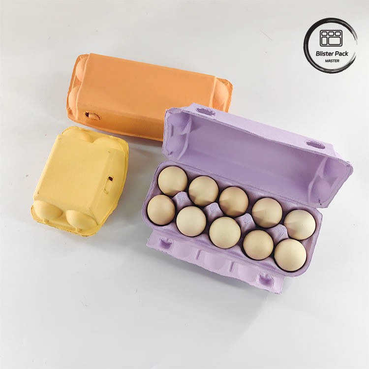 Özel Eco Kuşburnu Yumurta Paketleme 12 6 4 Kağıt Pulp Kutusu Tavuk Yumurtaları için Yumurta Kartonları
