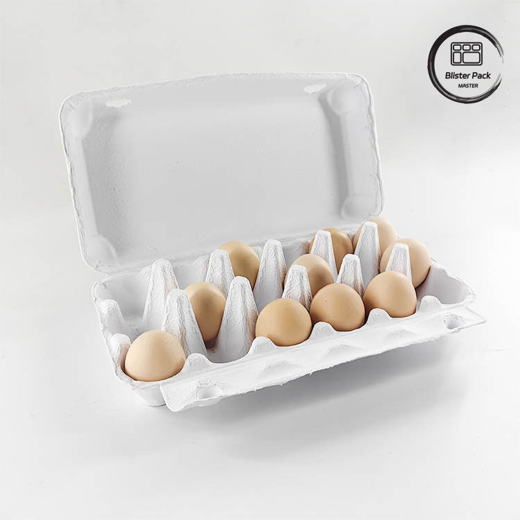 Özel Eco Kuşburnu Yumurta Paketleme 12 6 4 Kağıt Pulp Kutusu Tavuk Yumurtaları için Yumurta Kartonları