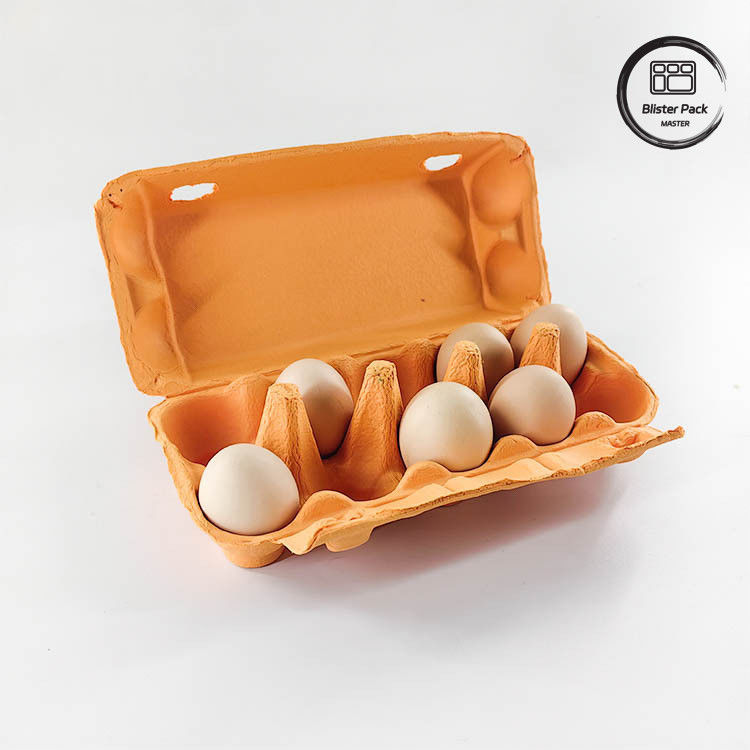 Özel Eco Kuşburnu Yumurta Paketleme 12 6 4 Kağıt Pulp Kutusu Tavuk Yumurtaları için Yumurta Kartonları