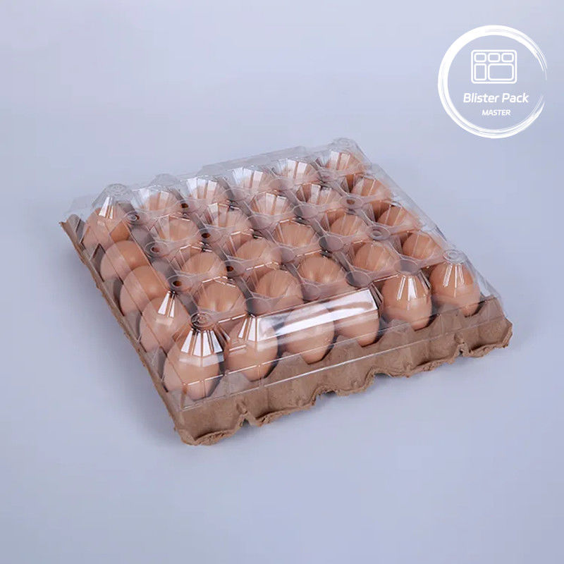 PET plastik yumurta tepsisi ambalajı 30 delikli kartonlar S/M/L boyutlarında ve kağıt tabanlı