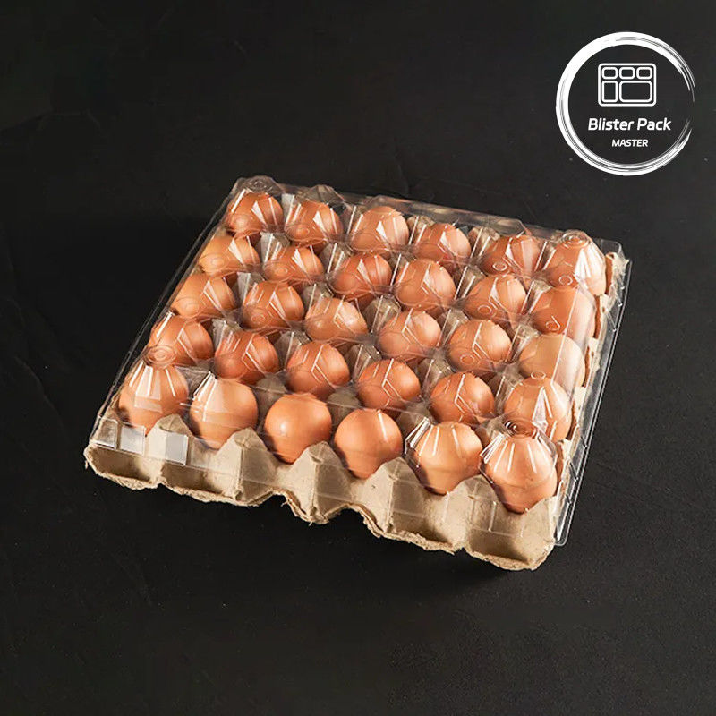 20/24/30 Hücre PET Açık Plastik Yumurta Blister Tepsisi Tek kullanımlık Kabartma Tavuk Yumurta Paketi Kapaklı
