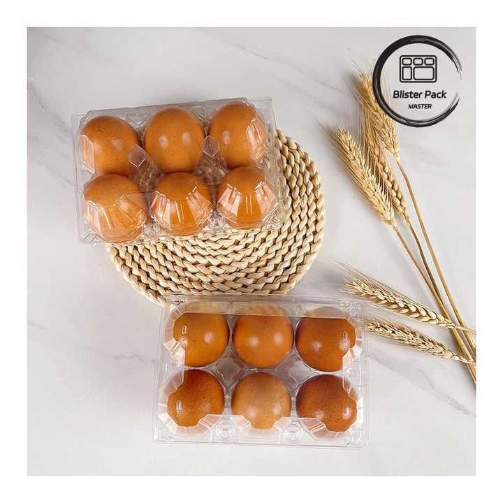 6 Paket Plastik Yumurta Kartonları Güvenli Depolama İçin Kalıcı Yumurta Paketleme Kutuları