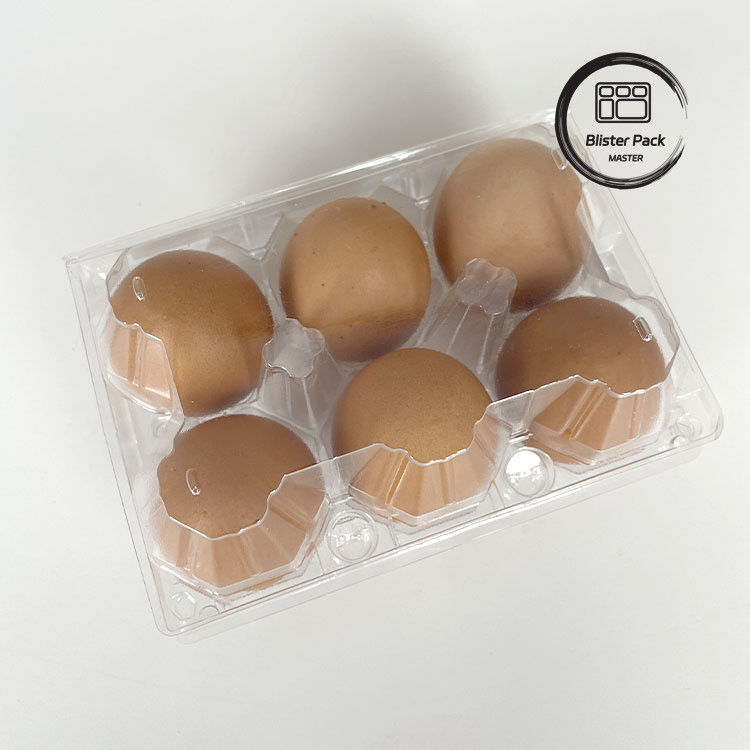6 Paket Plastik Yumurta Kartonları Güvenli Depolama İçin Kalıcı Yumurta Paketleme Kutuları