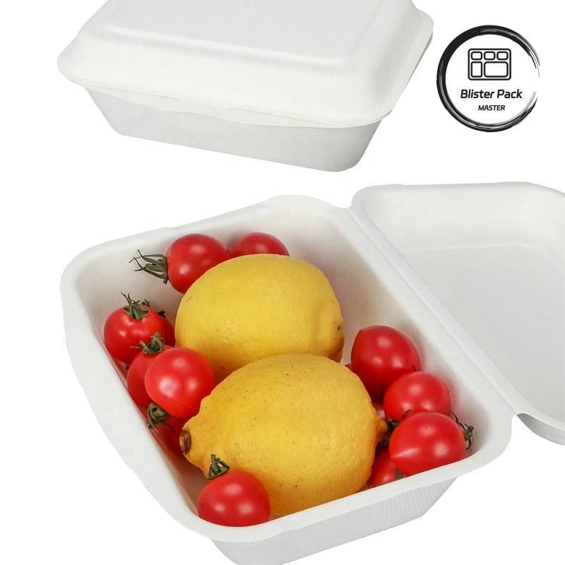 9 inç şeker kamışı bagasse Clamshell öğle yemeği kutusu Burger ve fırın için tek kullanımlık ve biyolojik olarak parçalanabilir gıda konteyneri