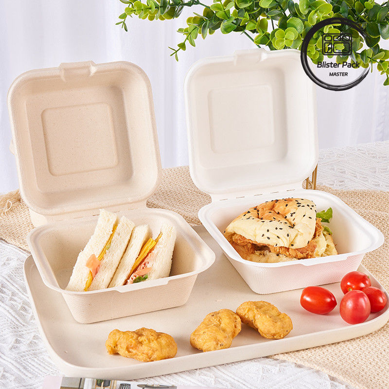9 inç şeker kamışı bagasse Clamshell öğle yemeği kutusu Burger ve fırın için tek kullanımlık ve biyolojik olarak parçalanabilir gıda konteyneri