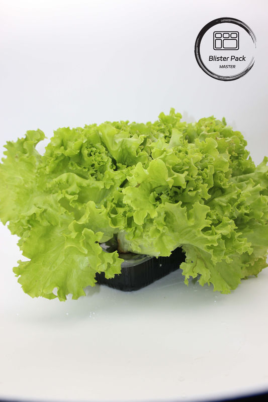Yapay bahçe sebze ve meyveler Plastik ekim tepsileri dekorasyon için mükemmel