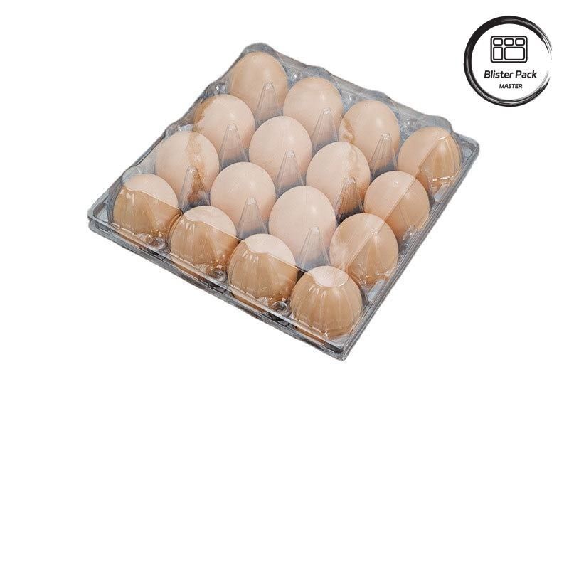 20/24/30 Hücre PET Açık Plastik Yumurta Blister Tepsisi Tek kullanımlık Kabartma Tavuk Yumurta Paketi Kapaklı